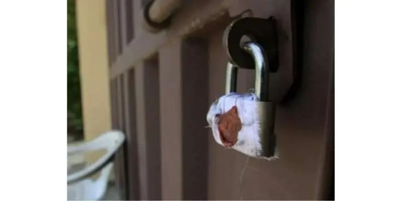 اسلام آباد میں TLP کے دفاتر، مساجد اور مدارس سیل؛ وفاقی انتظامیہ کا کریک ڈاؤن