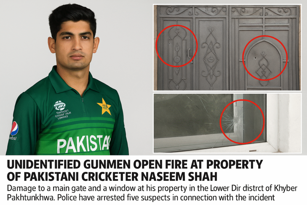 نسیم شاہ کے لوئر دیر گھر پر فائرنگ؛ نامعلوم حملہ آوروں کی کارروائی، پانچ مشتبہ گرفتار